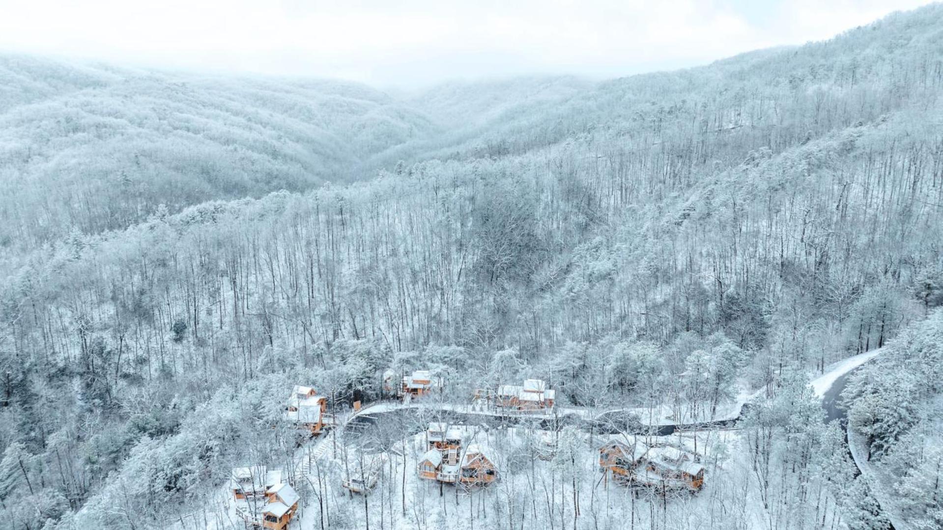 The Blackjack Oak In Treehouse Grove At Norton Creek Gatlinburg Exterior foto